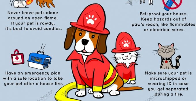 Fire Safety and Your Pets