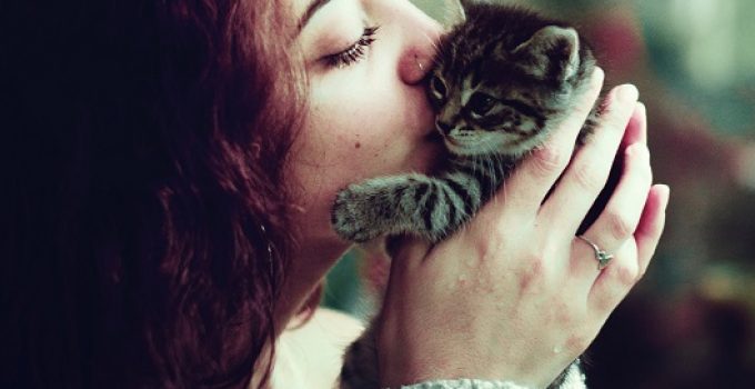 Keep Your Pet Happy And Warm This Winter Holiday