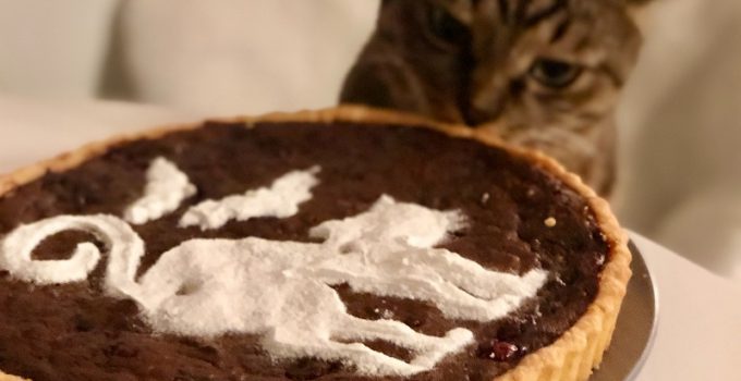 Friendly Foods You Can Share with Your Pet