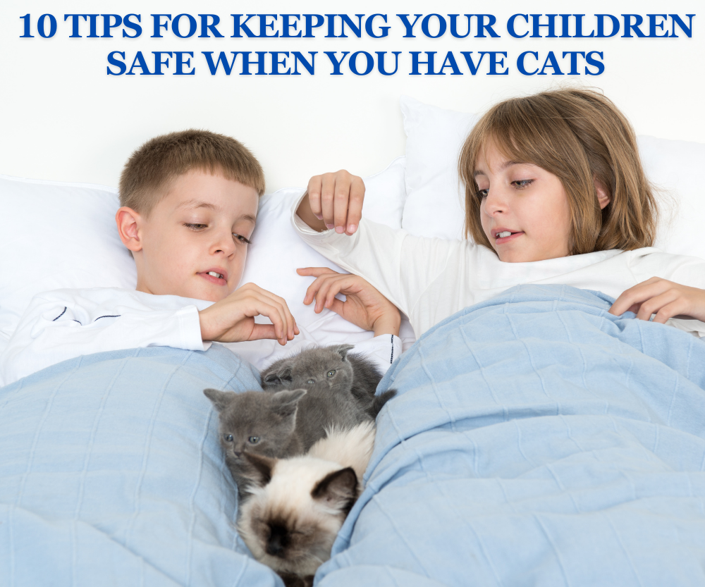 10 Tips for Keeping Your Children Safe When You Have Cats Guildcrest