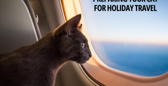 Happy Holidays - Preparing Your CAT for Holiday Travel